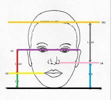 exemplo da aplicação da proporção aurea no rosto